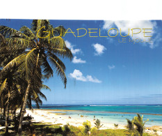 971 GUADELOUPE LE MOULE PLAGE DES DAUPHINS - Sonstige & Ohne Zuordnung