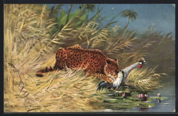 Künstler-AK M. Müller Jun.: Leopard Mit Gerissenem Vogel Am Ufer  - Rudersport