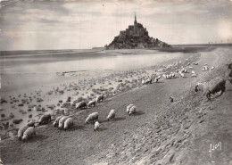 50 LE MONT SAINT MICHEL MOUTONS DE PRE SALE - Le Mont Saint Michel