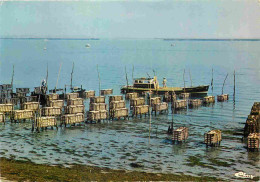 Metiers - Ostréiculteur - Bassin D'Arcachon - Les Collecteurs D'huitres - CPM - Voir Scans Recto-Verso - Fischerei