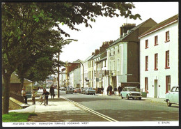 PC Judges-Milford Haven,Hamilton Terrace Looking West.unused - Pembrokeshire