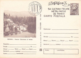 TOURISM, PREDEAL MOUNTAIN RESORT, DEER HOTEL, POSTCARD STATIONERY, 1980, ROMANIA - Hotels- Horeca