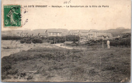 64 HENDAYE - Le Sanatorium De La Ville De Paris. - Hendaye