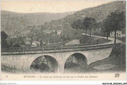 AKSP6-0556-88 - BUSSANG - Le Pont Du Séchenat Et Vue Sur Le Palais Des Sources - Epinal