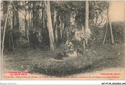 AKTP7-0629-54 - VALLOIS - Dans Le Parc Du Chateau De Vallois Ou Reposent Plusieurs Chasseurs Du 70e Alpins Morts  - Luneville