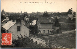 45 CHATILLON COLIGNY - La Vue Generale - - Chatillon Coligny