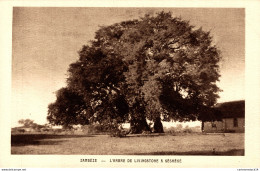 NÂ° 3594 Z -cpa ZambÃ¨ze -l'arbre De Livingstone Ã  SÃ©shekÃ© - Zimbabwe