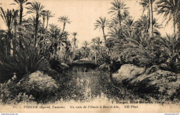 NÂ° 5483 Z -cpa Tozeur -un Coin De L'oasis Ã  Ras El AÃ¯n- - Tunisia