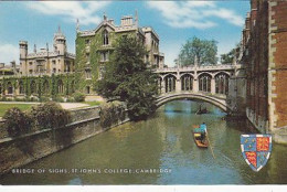 AK 215534 ENGLAND - Cambridge - St. John's Collgege - Bridge Of Sighs - Cambridge