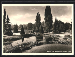 AK Berlin-Dahlem, Teich Im Botanischen Garten  - Dahlem