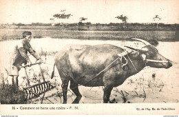 NÂ°7197 Z -cpa Comment On Herse Une RisiÃ¨re -attelage Buffle- - Wagengespanne