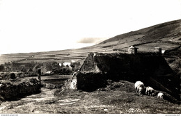 NÂ°9748 Z -cpsm Oeuvres Des Pupilles De L'Ã©cole Publique De La Manche- L'habitat Rural- - Altri & Non Classificati