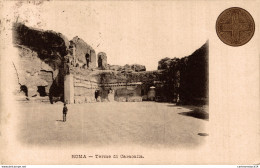 NÂ°9695 Z -cpa Roma -terme Di Caracalla- - Museums