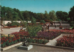 44153 - Essen - Gruga-Park - 1968 - Essen