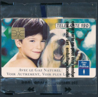 Télécartes France - Publiques N° Phonecote F246 - GDF - Garçon Et Chien (120U GEM NSB) - 1992