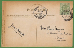 Ad0794 - GB - Postal History -  Postcard From CASTLETON To TUNISIA  1909 - Cartas & Documentos