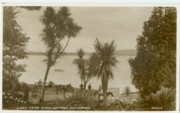 Killarney; Lake From Dinas Cottage - Not Circulated. (Valentine's) - Kerry