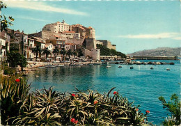 20 - Calvi - Le Port Et La Citadelle - Flamme Postale De Ajaccio - CPM - Voir Scans Recto-Verso - Calvi