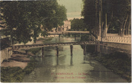 FR66 PERPIGNAN - DF 21 - Colorisée - La Basse - Nouveau Pont De L'alcazar - Belle - Perpignan