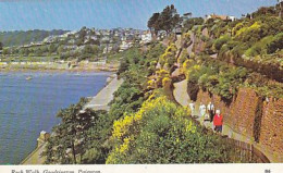 AK 215629 ENGLAND - Paignton - Goodrington - Rock Walk - Paignton