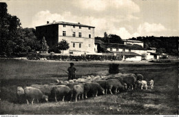 NÂ°12261 Z -cpsm Vidauban -vieux ChÃ¢teau D'Astros- - Vidauban