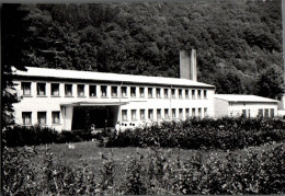 H3051 - Meisdorf Falkenstein Harz Foto Jugendherberge - Autres & Non Classés