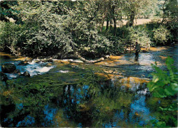 42 - Riorges - La Renaison - Rivière - CPM - Voir Scans Recto-Verso - Riorges