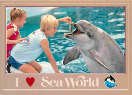 Animaux - Sea World - Feed A Dolphin - Zoo Marin - CPM - Carte Neuve - Voir Scans Recto-Verso - Dauphins