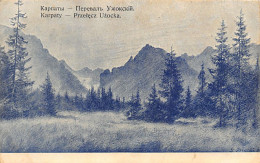 Ukraine - Carpathian Mountains - Uzhok Pass - Oekraïne