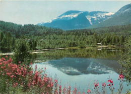 Norvège - View Of Lake Fjerdevatn - Parti Ved Fjerdevatn, Riksveg 50, Bonnasjoen - Bognes - Norge - Norway - Carte Neuve - Norway