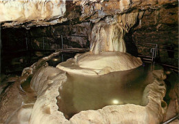 38 - La Balme Les Grottes - Grottes De La Balme - La Grande Fontaine - Spéléologie - Curiosité Géologique - Carte Neuve  - La Balme-les-Grottes