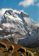 Animaux - Moutons - Hautes Alpes - Le Mont Viso - CPM - Voir Scans Recto-Verso - Otros & Sin Clasificación