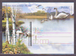 POLAND. 2006/Mazury _Mute Swan_.. PostCard/unused. - Nuovi