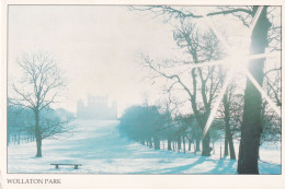 Nottingham, Wollaton Park In Winter - Nottingham