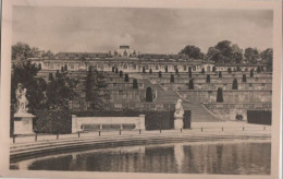 68764 - Potsdam - Schloss Sanssouci Mit Den Terrassen - Ca. 1950 - Potsdam