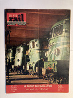 VIE DU RAIL 1955 517 COMBOIOS DE PORTUGAL MISTRAL TEE CAMINHOS FERRO PORTUGUESES BUFFALO BILL MONTBARD - Treni