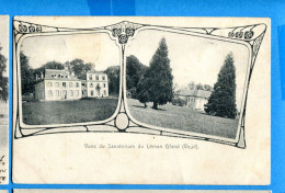 VIX155, Gland, Sanatorium Du Léman, W. Lober, Circulée 1906 - Gland