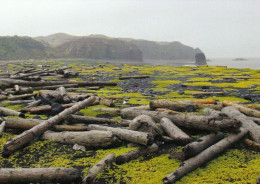 1 AK Island Jan Mayen Zu Norwegen / Norway - Seven Dutchmens Bay * - Norway