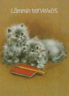 KATZE MIEZEKATZE Tier Vintage Ansichtskarte Postkarte CPSM #PAM290.A - Katzen