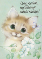 CAT KITTY Animals Vintage Postcard CPSM #PBR029.A - Katzen