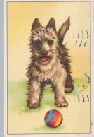 HUND Tier Vintage Ansichtskarte Postkarte CPA #PKE775.A - Hunde
