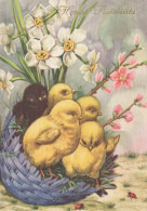 EASTER CHICKEN EGG Vintage Postcard CPSM #PBP139.GB - Easter