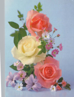 FLORES Vintage Tarjeta Postal CPSM #PAS001.ES - Fleurs