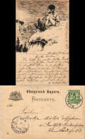 Künstlerkarte Handgefertigt Geiger  Sig. H. Ness Gel. Auf Ganzache Bayern 1898 - Before 1900