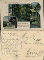 Ansichtskarte Coswig (Sachsen) Spitzgrund U.a. Mühle, Mehrbild 1919 - Coswig