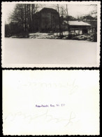 Foto Grunewald-Berlin Jagdschloss Im Winter 1950 Privatfoto Foto - Grunewald