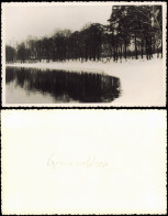 Grunewald-Berlin Grunewaldsee, Uferpartie Im Winter 1950 Privatfoto Foto - Grunewald