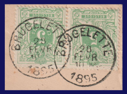 N°45 En Paire / Fragment - Belles Oblitérations  - "BRUGELETTE" - 1869-1888 Lion Couché (Liegender Löwe)