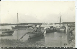 ARGENTINE-CARTE PHOTO -ZÁRATE- VAPOR DE LA Cie MIANOVICH - Argentina