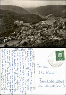 Ansichtskarte Bad Herrenalb Panorama-Ansicht Schwarzwald Blick 1960 - Bad Herrenalb